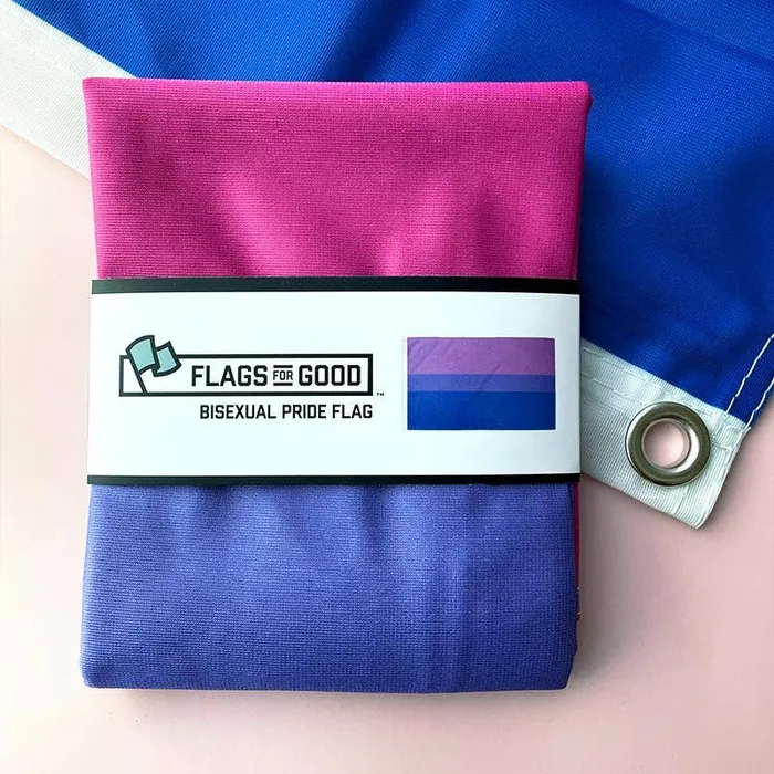 Bisexual Bi Pride Flag Flags For Good Earrings