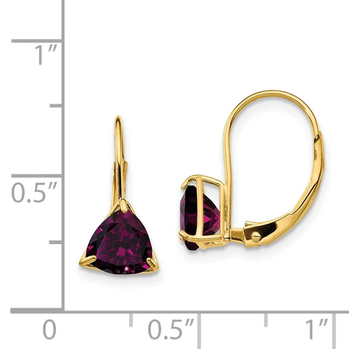 Earrings Goldia 14k Yellow Gold 6mm Rhodolite Garnet Leverback Earrings