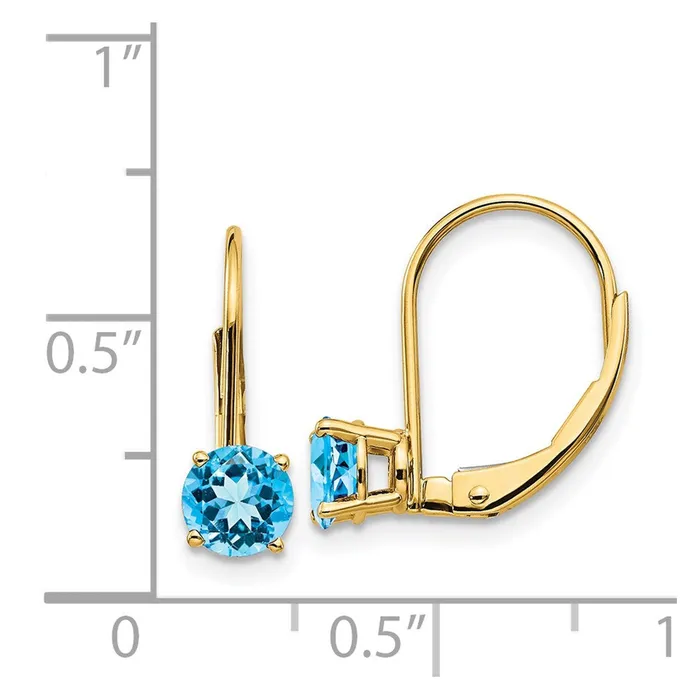 Goldia 14k Yellow Gold 5mm Blue Topaz Leverback Earrings Earrings