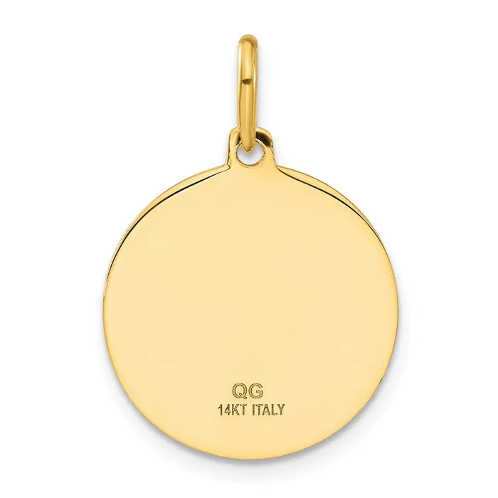 Goldia Necklaces 14k Yellow Gold Polished and Satin Papa Francesco Medal Pendant