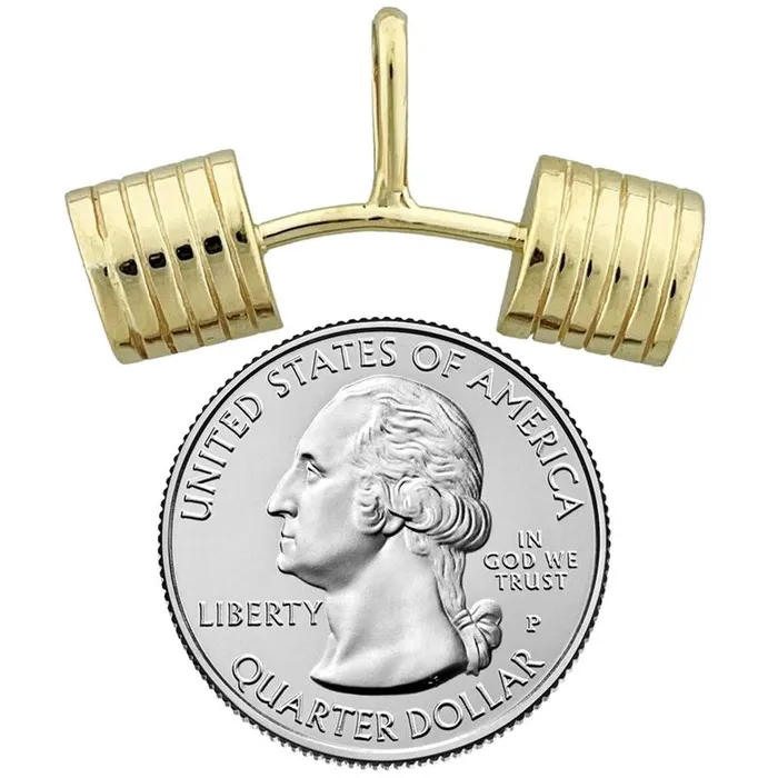 PreStyled Sets Goldia 14K Gold Curved Barbell Pendant